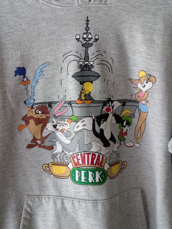 Warner Bros. Other - Warner Bros. Grey Central Perk Looney Tunes Graphic Hoodie Sz S